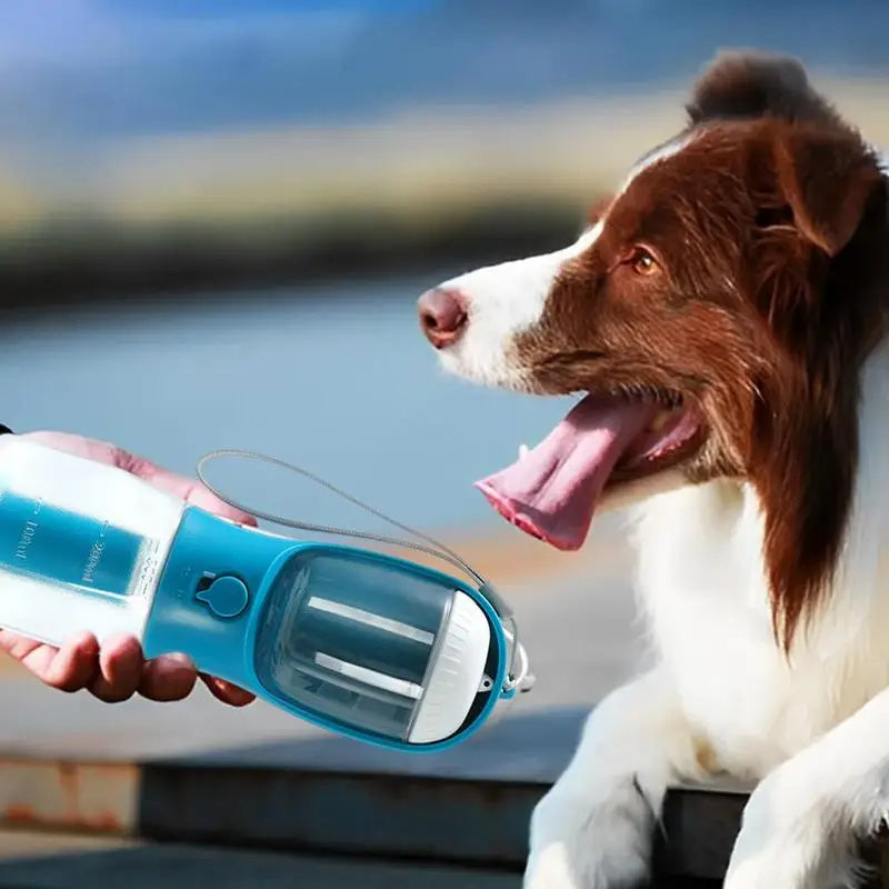Portable Traveling Out Dog Water Bottle