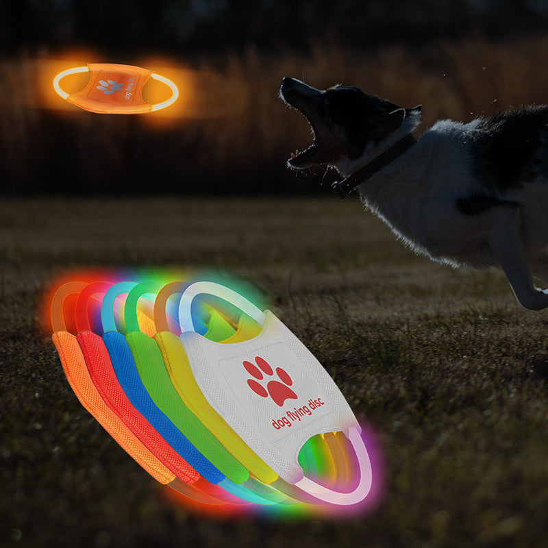 LED Luminous Pet Flying Training Discs