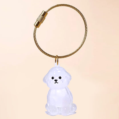 Pet Hair Keychain