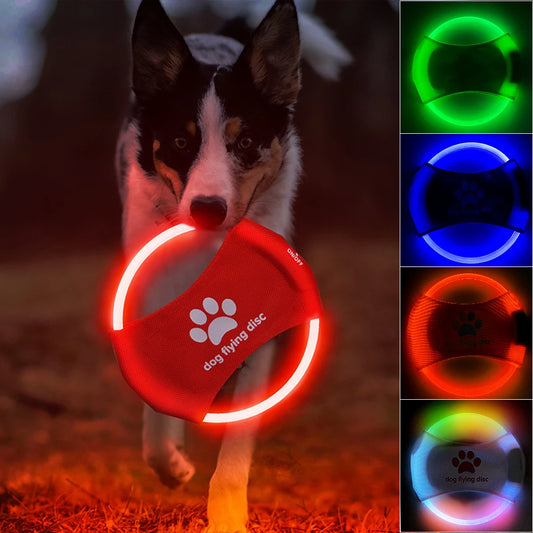 LED Luminous Pet Flying Training Discs