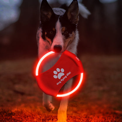 LED Luminous Pet Flying Training Discs